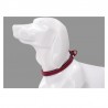 Boutique officielle TRUELOVE - Colliers chien tendance Truelove Flux Plus +