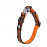 Boutique officielle TRUELOVE - Colliers chien tendance Truelove Flux Plus +