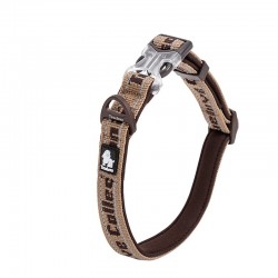 Boutique officielle TRUELOVE - Colliers chien tendance Truelove Flux Plus +