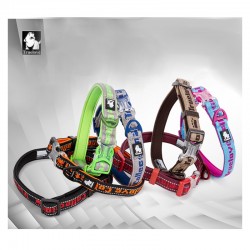 Boutique officielle TRUELOVE - Colliers chien tendance Truelove Flux Plus +