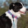 Boutique officielle TRUELOVE - Colliers chien tendance Truelove Flux Plus +