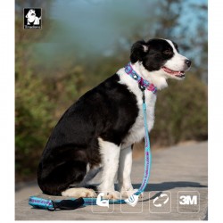 Boutique officielle TRUELOVE - Colliers chien tendance Truelove Flux Plus +