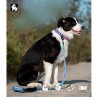 Boutique officielle TRUELOVE - Colliers chien tendance Truelove Flux Plus +