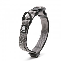 Boutique Officielle TRUELOVE - Colliers chien réfléchissants Truelove FLUX