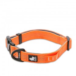 Boutique Officielle TRUELOVE - Colliers chien réfléchissants Truelove FLUX