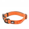 Boutique Officielle TRUELOVE - Colliers chien réfléchissants Truelove FLUX