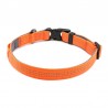 Boutique Officielle TRUELOVE - Colliers chien réfléchissants Truelove FLUX