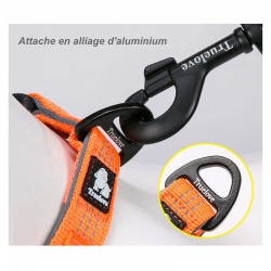 Boutique Officielle TRUELOVE - Colliers chien réfléchissants Truelove FLUX
