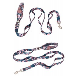 Boutique Officielle TRUELOVE - Laisses chien forte traction Truelove PULL