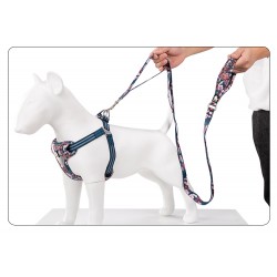 Boutique Officielle TRUELOVE - Laisses chien forte traction Truelove PULL
