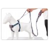 Boutique Officielle TRUELOVE - Laisses chien forte traction Truelove PULL