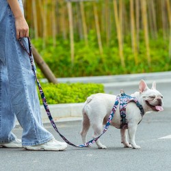 Boutique Officielle TRUELOVE - Laisses chien forte traction Truelove PULL