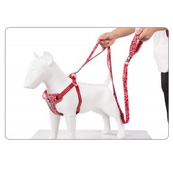 Boutique Officielle TRUELOVE - Laisses chien forte traction Truelove PULL