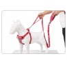 Boutique Officielle TRUELOVE - Laisses chien forte traction Truelove PULL