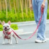 Boutique Officielle TRUELOVE - Laisses chien forte traction Truelove PULL