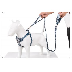 Boutique Officielle TRUELOVE - Laisses chien forte traction Truelove PULL