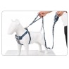 Boutique Officielle TRUELOVE - Laisses chien forte traction Truelove PULL