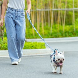 Boutique Officielle TRUELOVE - Laisses chien forte traction Truelove PULL