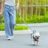 Boutique Officielle TRUELOVE - Laisses chien forte traction Truelove PULL