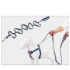 Boutique Officielle TRUELOVE - Laisses chien forte traction Truelove PULL