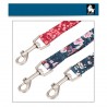 Boutique Officielle TRUELOVE - Laisses chien forte traction Truelove PULL