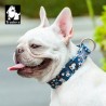 Boutique TRUELOVE - Colliers chien Truelove FLEX PLUS Spécial Edition Flower