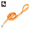 Boutique officielle TRUELOVE - Laisse chien forte traction Truelove PULL PLUS +