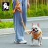 Boutique officielle TRUELOVE - Laisse chien forte traction Truelove PULL PLUS +