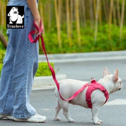 Boutique officielle TRUELOVE - Laisse chien forte traction Truelove PULL PLUS +