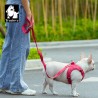 Boutique officielle TRUELOVE - Laisse chien forte traction Truelove PULL PLUS +