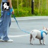 Boutique officielle TRUELOVE - Laisse chien forte traction Truelove PULL PLUS +