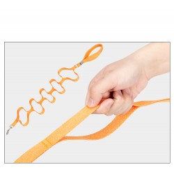 Boutique officielle TRUELOVE - Laisse chien forte traction Truelove PULL PLUS +