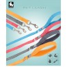 Boutique officielle TRUELOVE - Laisse chien forte traction Truelove PULL PLUS +