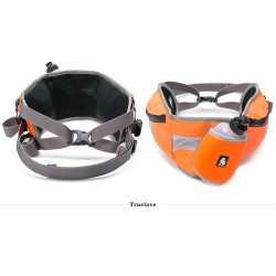 Boutique Officielle TRUELOVE - Ceinture de Jogging Truelove Jogg