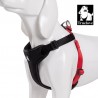 Boutique Officielle TRUELOVE - Harnais Truelove HUNTING anti-traction harnais chien