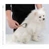 Brosse chien Truelove harnais