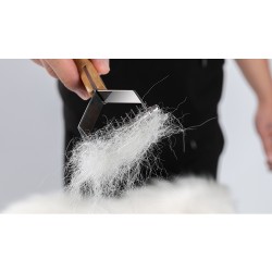 Brosse chien Truelove harnais