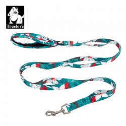 Boutique Officielle TRUELOVE - Laisses chien forte traction Truelove PULL