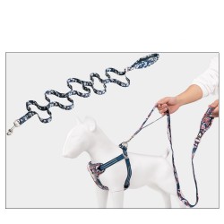 Boutique Officielle TRUELOVE - Laisses chien forte traction Truelove PULL