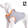 Boutique TRUELOVE - Manteau rafraichissant Truelove SUN harnais chien - Revendeur agréé