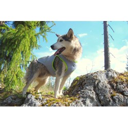 Boutique TRUELOVE - Manteau rafraichissant Truelove SUN harnais chien - Revendeur agréé