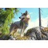 Boutique TRUELOVE - Manteau rafraichissant Truelove SUN harnais chien - Revendeur agréé