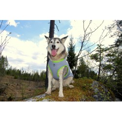 Boutique TRUELOVE - Manteau rafraichissant Truelove SUN harnais chien - Revendeur agréé