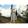 Boutique TRUELOVE - Manteau rafraichissant Truelove SUN harnais chien - Revendeur agréé