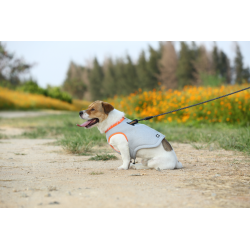 Boutique TRUELOVE - Manteau rafraichissant Truelove SUN harnais chien - Revendeur agréé