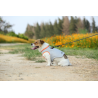 Boutique TRUELOVE - Manteau rafraichissant Truelove SUN harnais chien - Revendeur agréé