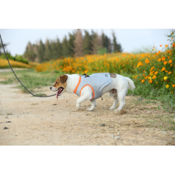 Boutique TRUELOVE - Manteau rafraichissant Truelove SUN harnais chien - Revendeur agréé