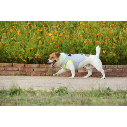 Boutique TRUELOVE - Manteau rafraichissant Truelove SUN harnais chien - Revendeur agréé