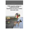 Boutique officielle TRUELOVE - Sacoche à Friandise chien Truelove Club