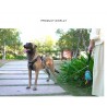 Boutique officielle TRUELOVE - Sacoche à Friandise chien Truelove Club